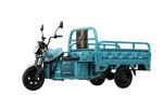 Pioneer Generation Electric Three Wheel 1.6m